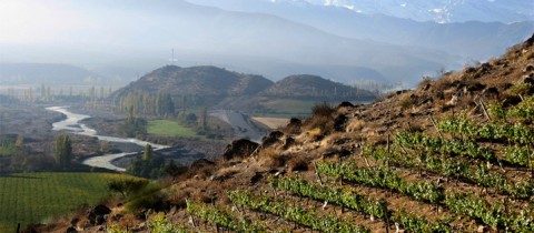 Aconcagua valley